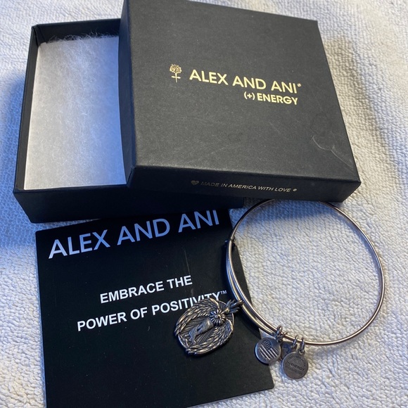 Alex and ani energy bracelet - Picture 1 of 2